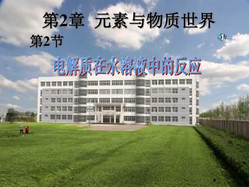 电解质在水溶液中的反应(新编教材)