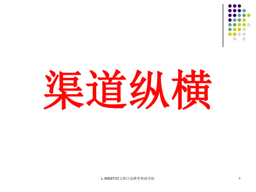 渠道纵横基本的策略-精品文档