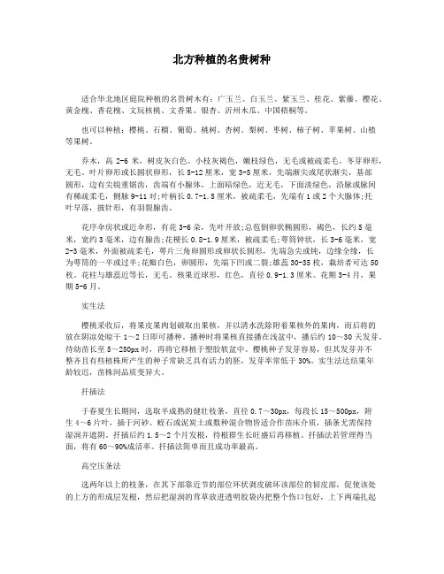 北方种植的名贵树种