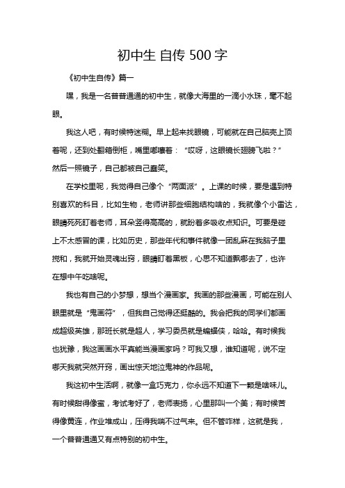 初中生 自传 500字