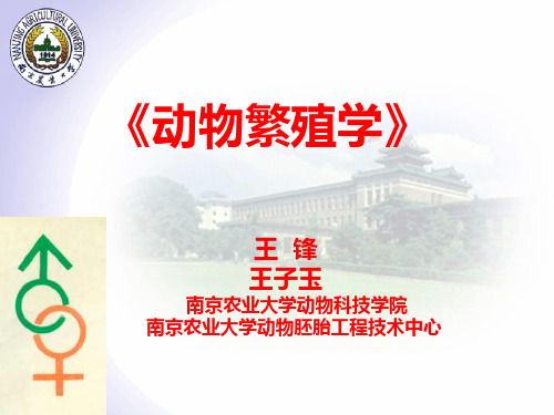 《动物繁殖学》