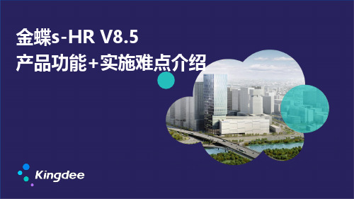 金蝶s-HR+V8.5产品标准解决方案