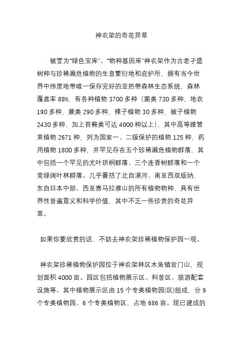 神农架的奇花异草