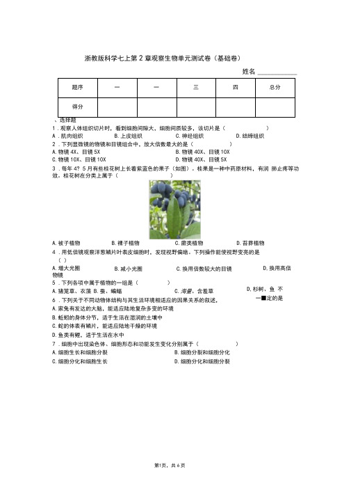 浙教版科学七上第2章观察生物单元测试卷(基础卷)