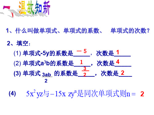 2.1.2整式(2)