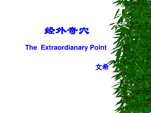 《经外奇穴》PPT课件