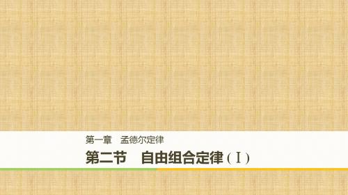 高中生物第一章孟德尔定律第二节自由组合定律Ⅰ名师课件浙科版必修