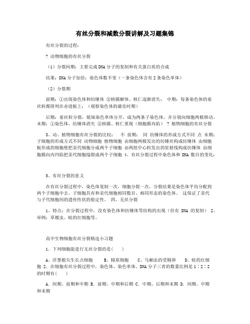 有丝分裂和减数分裂讲解及习题集锦