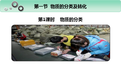 《物质的分类》物质的分类及转化