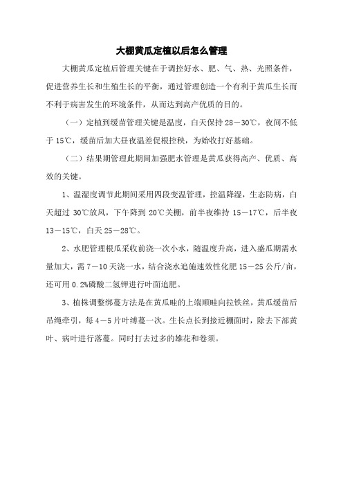 大棚黄瓜定植以后怎么管理