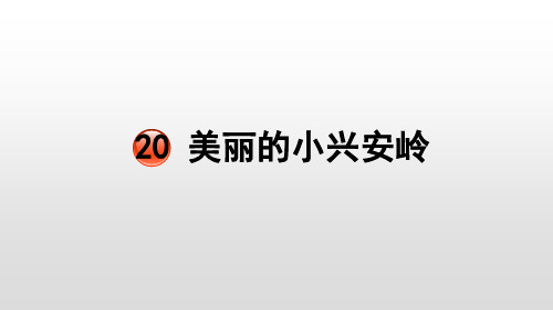 三年级上册美丽的小兴安岭【部编本】
