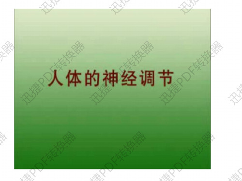 八年级生物人体的神经调节