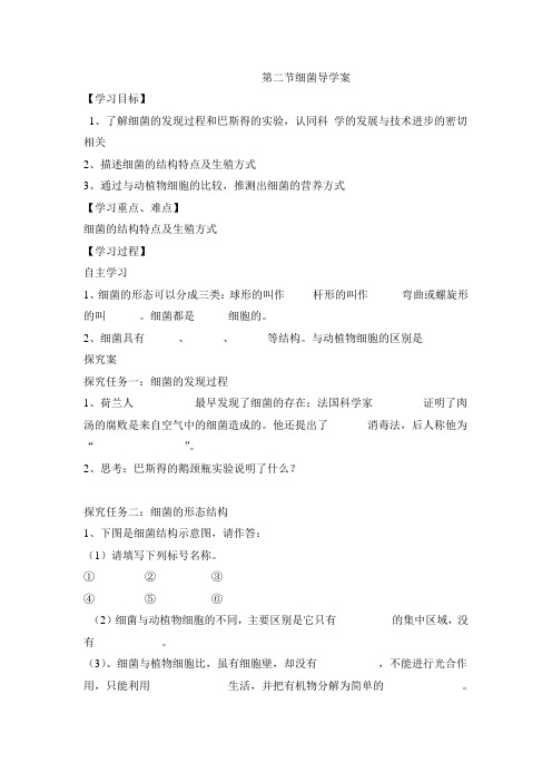 第二节细菌导学案