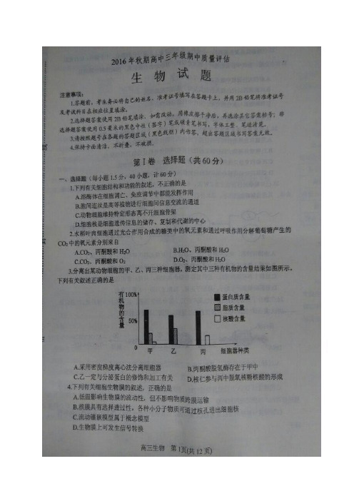 河南省南阳市高三上学期期中质量评估(图片)——生物生