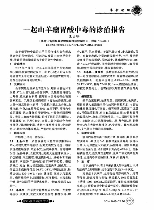 一起山羊瘤胃酸中毒的诊治报告