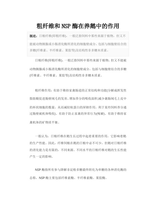 粗纤维和NSP酶在养鹅中的作用