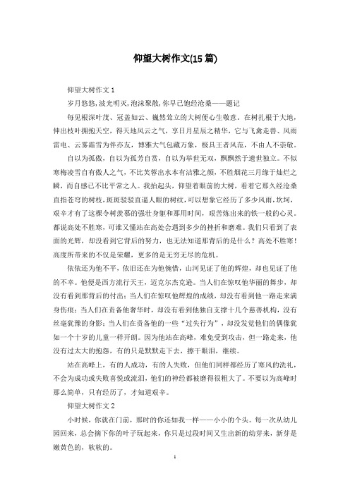 仰望大树作文(15篇)