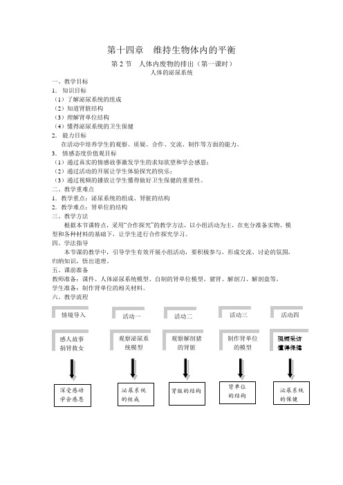 新初中生物八年级上册第十四章第二节《人体的泌尿系统》