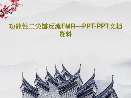 功能性二尖瓣反流FMR—PPT-PPT文档资料38页PPT