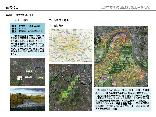 湿地公园的案例