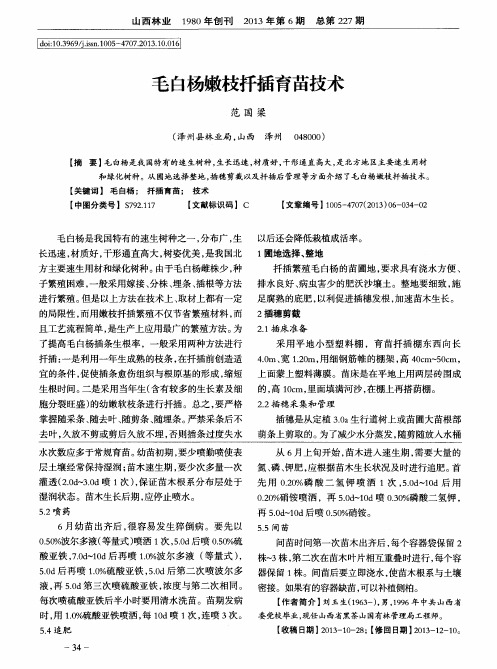 毛白杨嫩枝扦插育苗技术