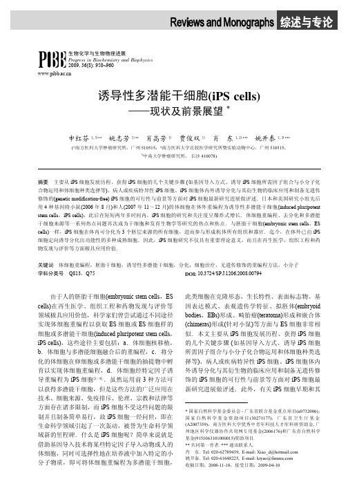 ipsc综述