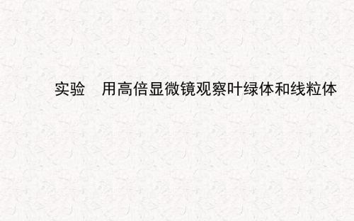 2017-2018学年高中生物 第3章 实验用高倍显微镜观察叶绿体和线粒体课件 新人教版必修1