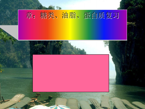 糖类、油脂、蛋白质复习ppt 人教版