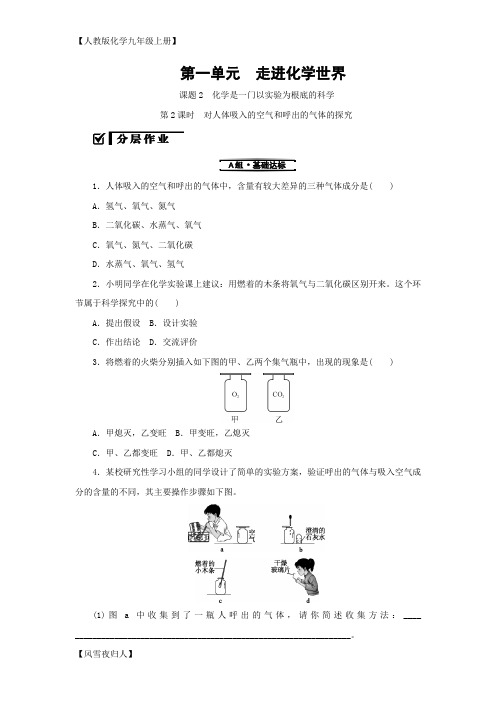 人教版化学九年级上册 1.2.2对人体吸入的空气和呼出的气体的探究分层作业