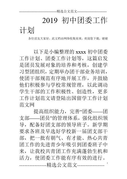 2019初中团委工作计划
