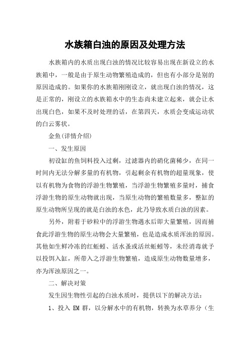水族箱白浊的原因及处理方法