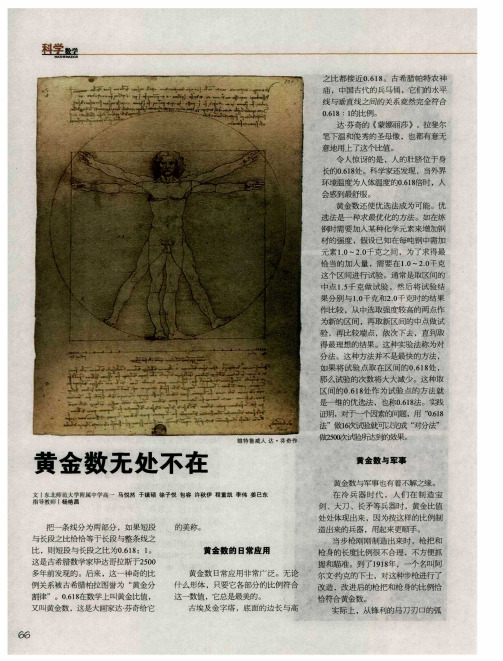 黄金数无处不在