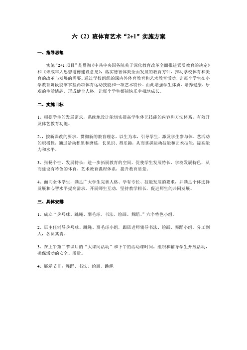 2+1活动方案