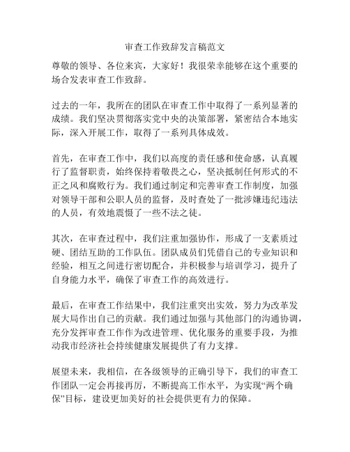 审查工作致辞发言稿范文