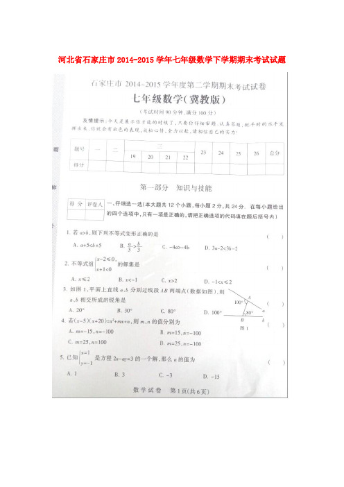河北省石家庄市七年级数学下学期期末考试试题(扫描版) 冀教版