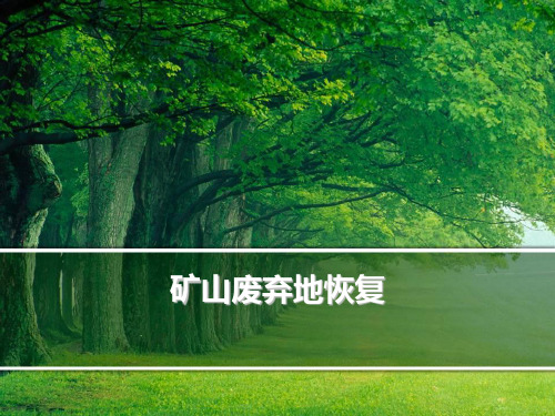 矿山恢复课件