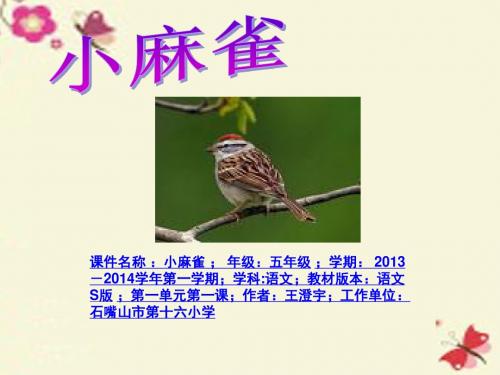 语文S版语文五上《小麻雀》ppt课件1
