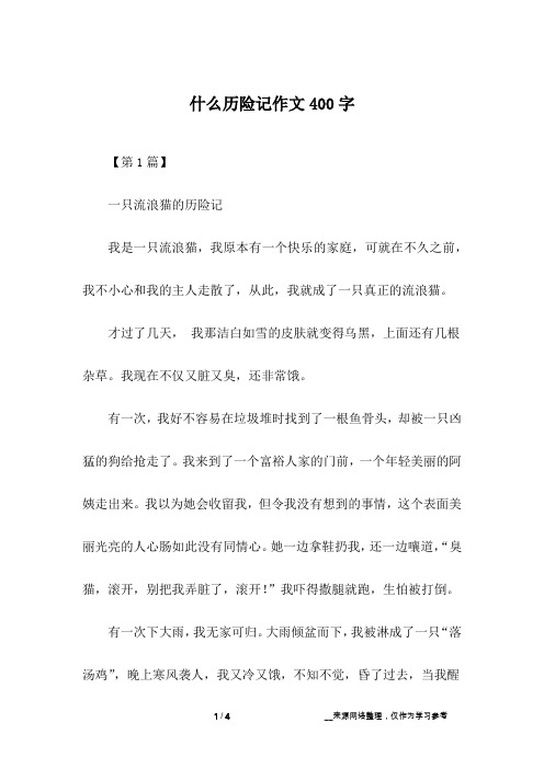 什么历险记作文400字