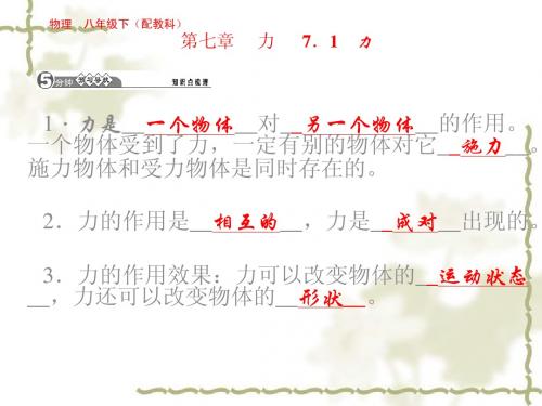 (新教科版)八年级物理下册 第7章《力》ppt课件(2)