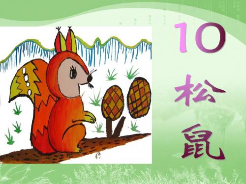 最新人教版五年级语文上册：松鼠(1)优质课件