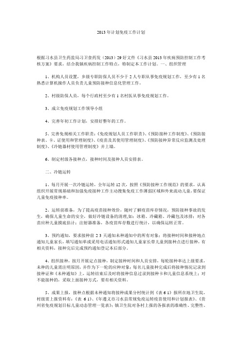 2013年计划免疫工作计划 