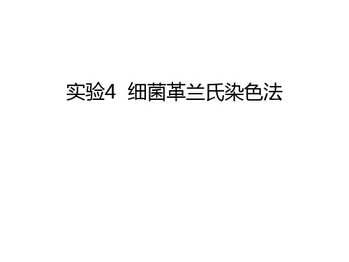 实验4  细菌革兰氏染色法讲解学习
