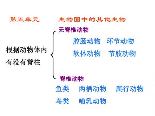 八上册生物第五单元
