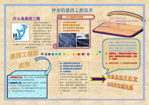 基因工程  手抄报