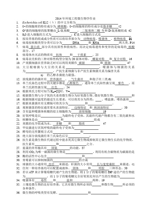 微生物作业