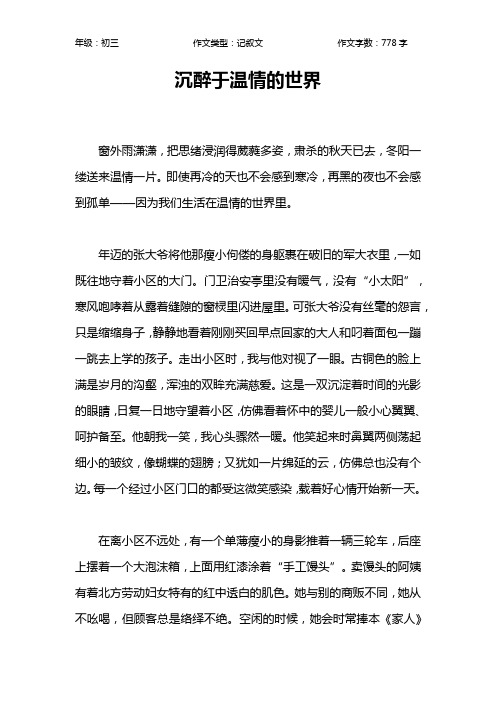 沉醉于温情的世界作文【初中初三800字】