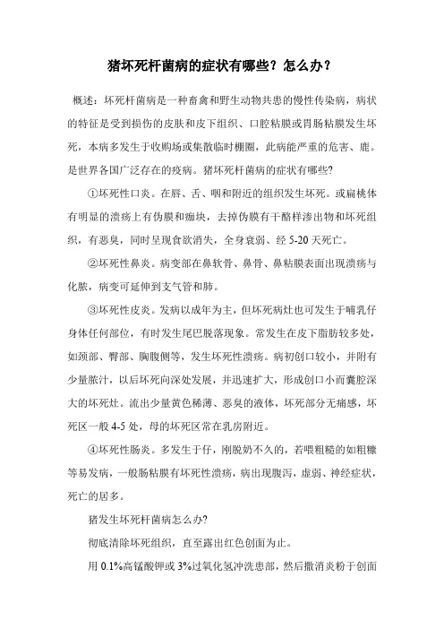 猪坏死杆菌病的症状有哪些？怎么办？.doc