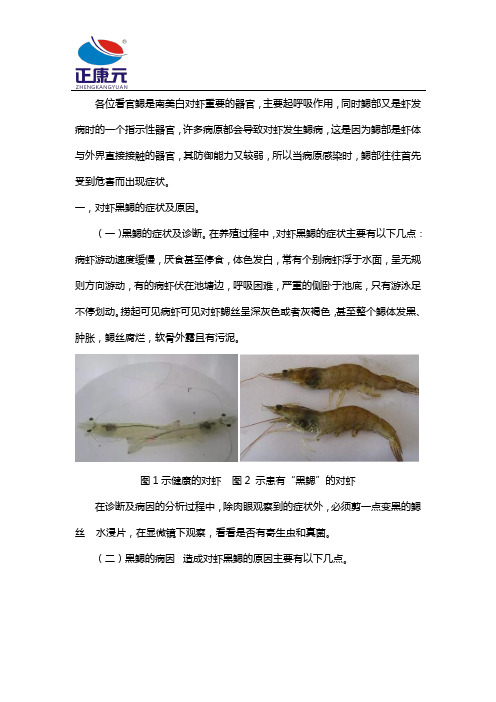 南美白对虾的黑鳃、黄鳃如何化解
