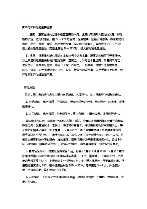 龟蛋孵化教程
