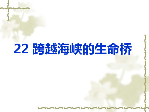 四年级《跨越海峡的生命桥》ppt课件